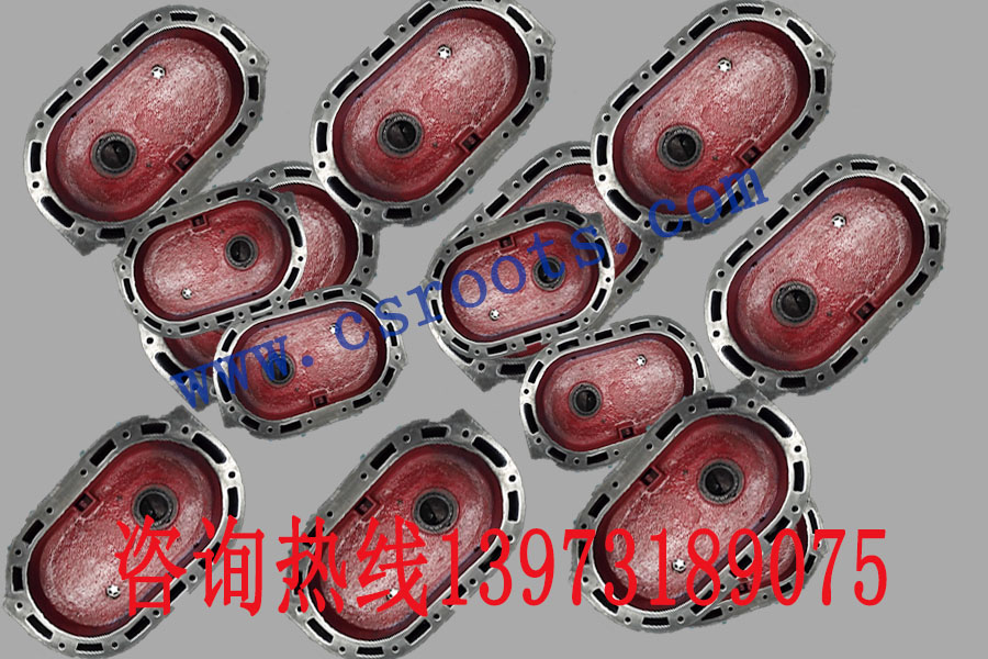 JTS50罗茨鼓风机 齿轮箱